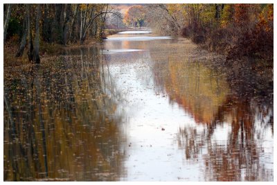 Calm Mingo River