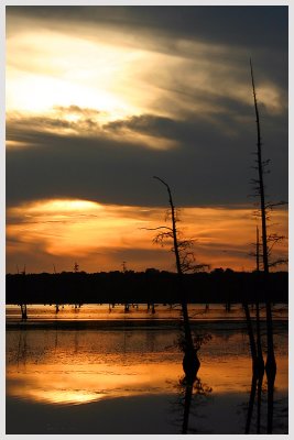 Duck Creek Evening