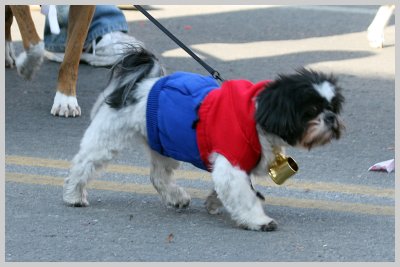 Barkus Pet Parade