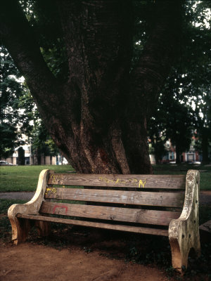 2007-08-06 Allentown--Fuji645-Velvia100--02.jpg