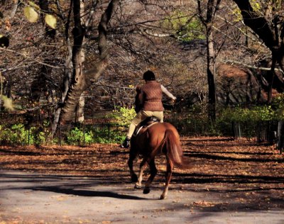 Autumn NYC New York City Manhattan Sat Dec 2 Central Park