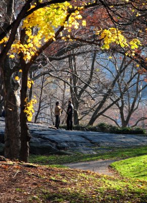 Autumn NYC New York City Manhattan Sat Dec 2 Central Park