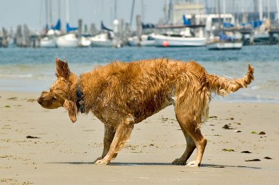 DSC_0108.jpg