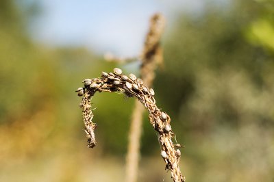 DSC_1610.jpg