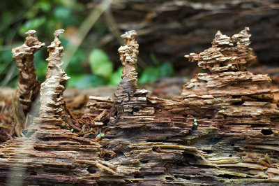 DSC_4394.jpg