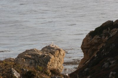 Monterey 2007