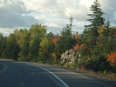 g6/92/595892/3/68762916.h3MyuMd4.jpg