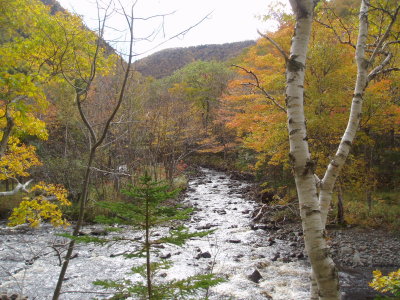 Cape Breton