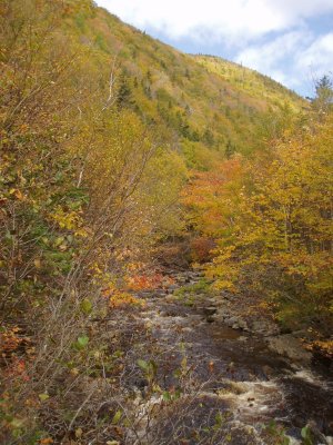  Cape Breton
