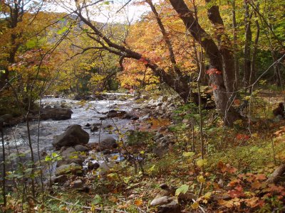 Cape Breton