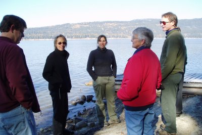 mccall2006