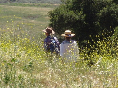 malibu_creek