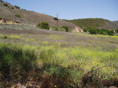 malibu_creek