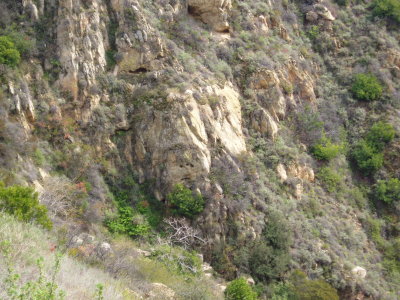 nicholas flat rockface