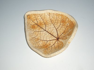 leaf platelet