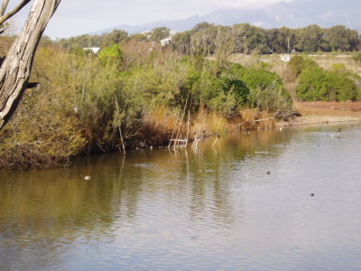 montecito