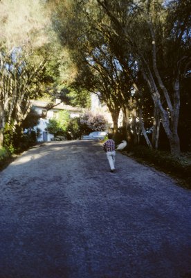 Rand in driveway