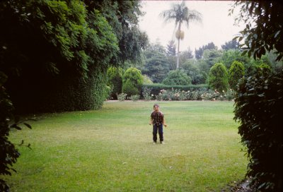 side lawn