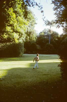 side lawn