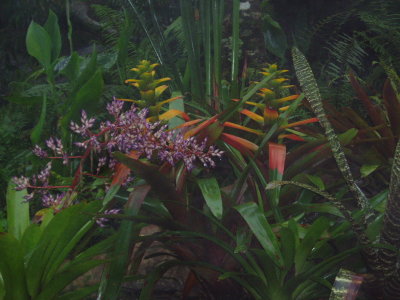 g6/92/595892/3/80157758.2kjSaQtd.jpg