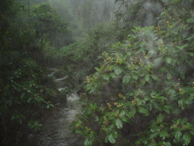 g6/92/595892/3/80157879.DTB4EFee.jpg