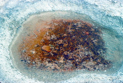 waterhole with mineral growth