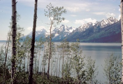 jackson lake