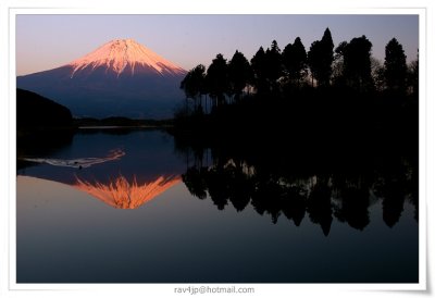IMG_2445.jpg