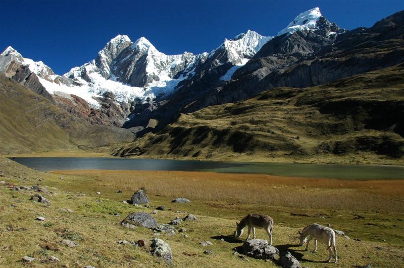 Laguna Mitucocha