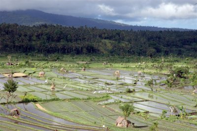 Bali