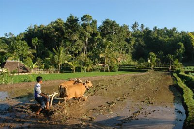 Lombok