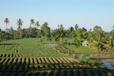 Lombok