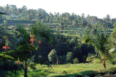 Lombok