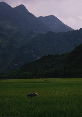 Mai Chau