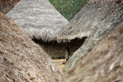 Village Kogui