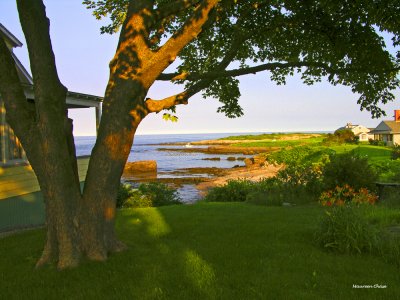 view of the point