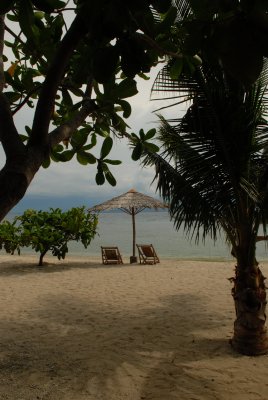 Img0055.jpg