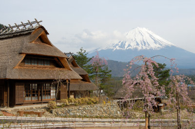 Mount Fuji and house