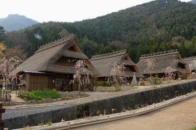 A series of thatched roof house