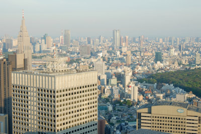 View from Observation Deck of Tokyo Metropolitan Government Building (1)