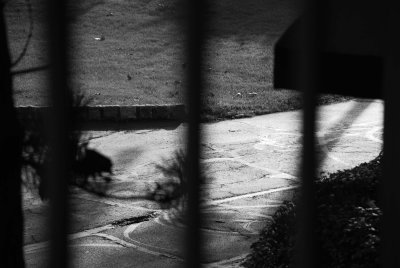 054_54.jpg
