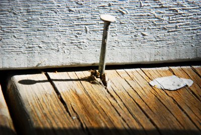 054_54.jpg