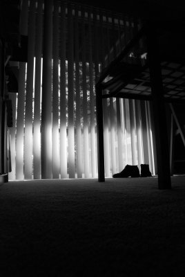 054_54.jpg