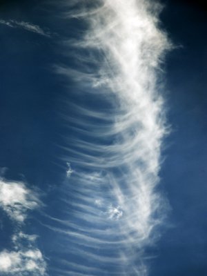 DSC_0001.jpg