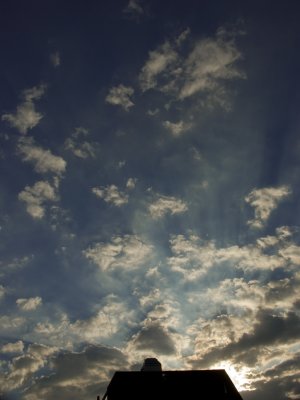 g6/92/694592/3/83793428.rMM6O2WI.jpg