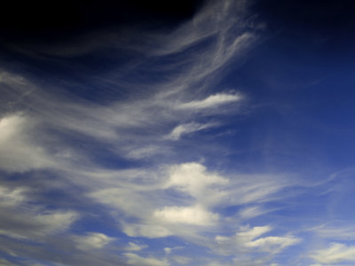 g6/92/694592/3/84098093.XTTdDkTj.jpg