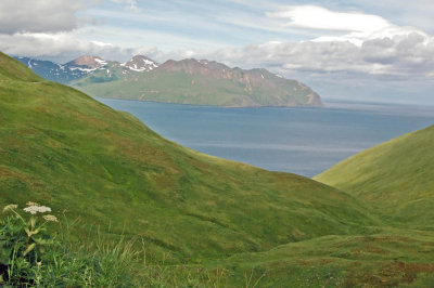 Unalaska Bay 03 from Ballhoo.jpg