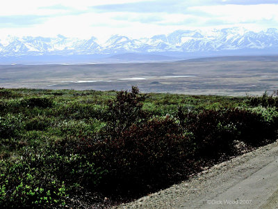 Kougarok Road.jpg
