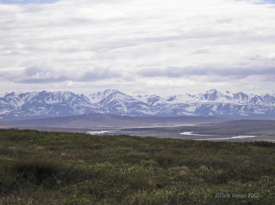 Nome Area04.jpg