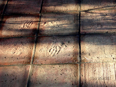 Handprints on the Floor.JPG